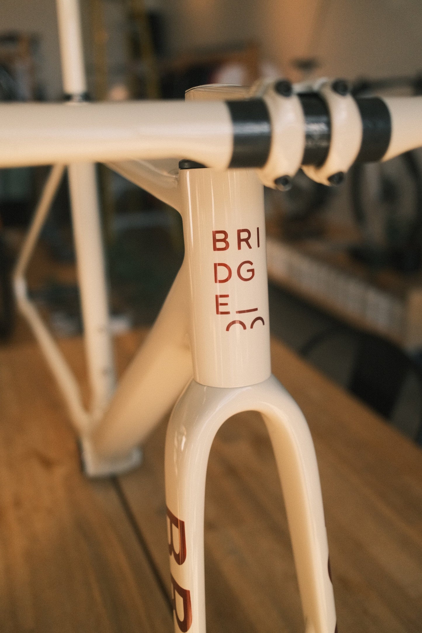 Bridge - Surveyor custom paint Velo Cartel road bikes Bridge