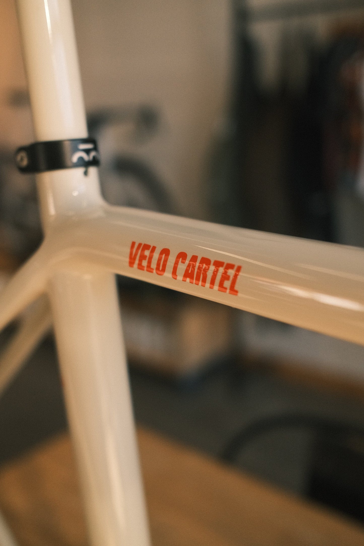 Bridge - Surveyor custom paint Velo Cartel road bikes Bridge