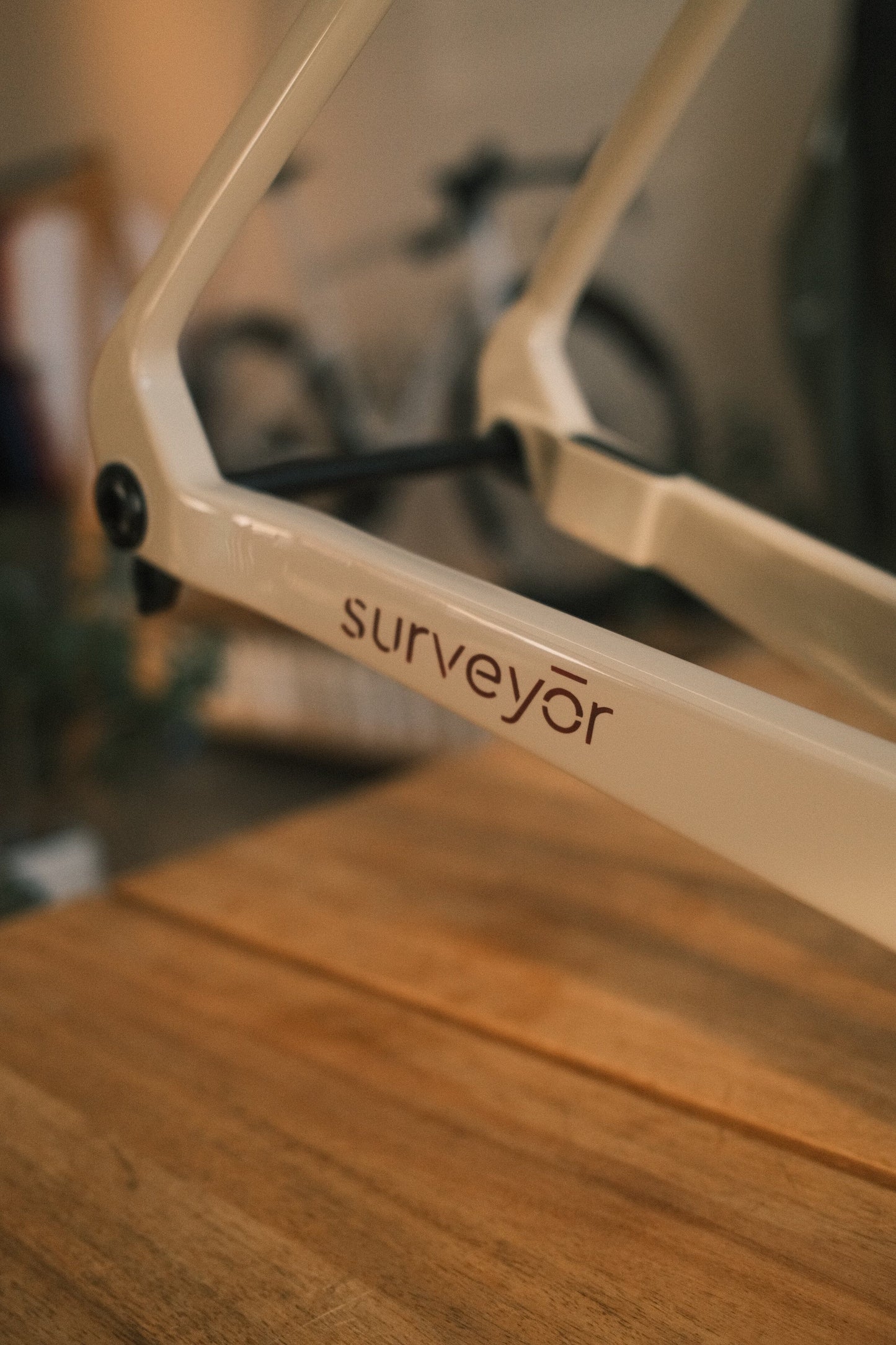 Bridge - Surveyor custom paint Velo Cartel road bikes Bridge