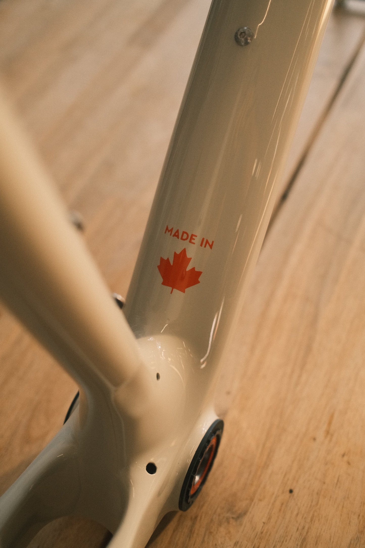 Bridge - Surveyor custom paint Velo Cartel road bikes Bridge